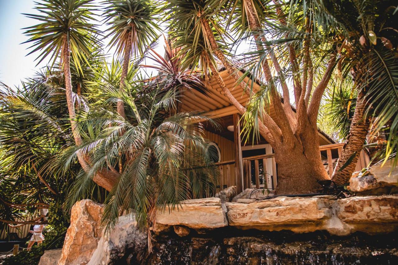 Toison D'or Vakantiepark